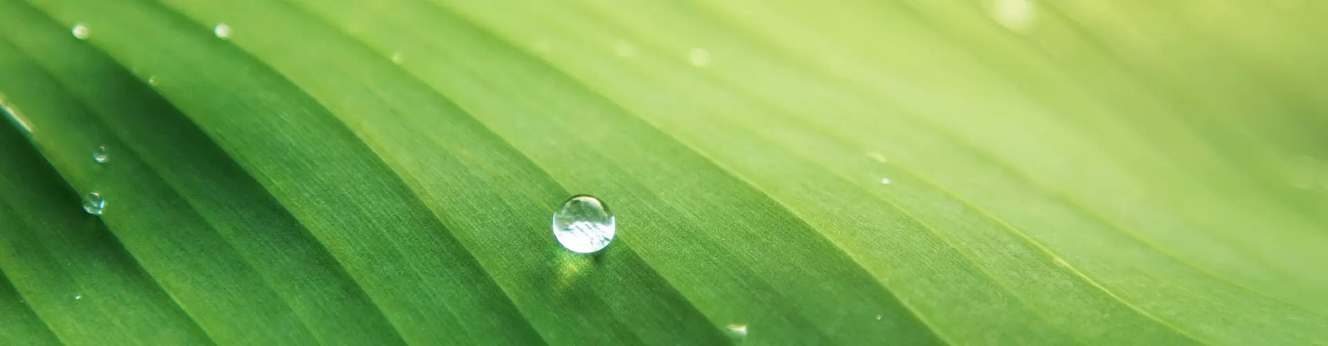 durabilité de l'environnement